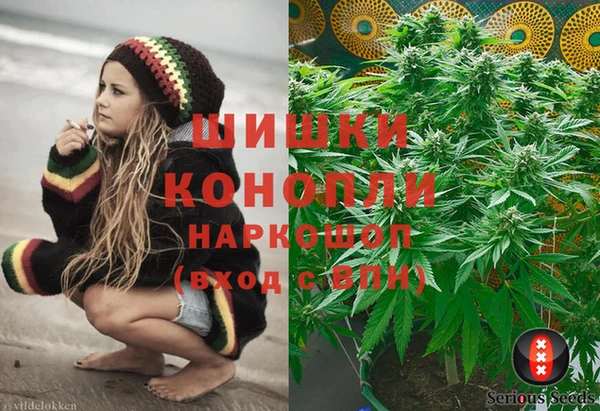 индика Арсеньев