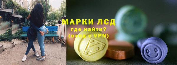 индика Арсеньев