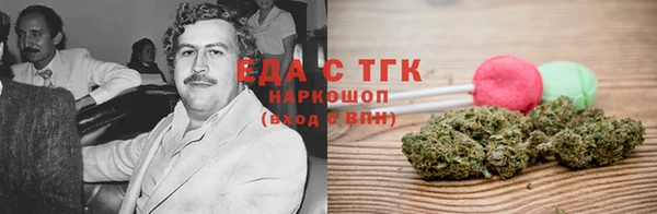 индика Арсеньев