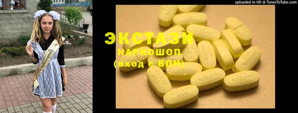 индика Арсеньев