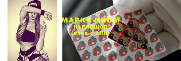 индика Арсеньев
