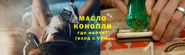 индика Арсеньев