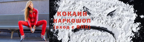 индика Арсеньев