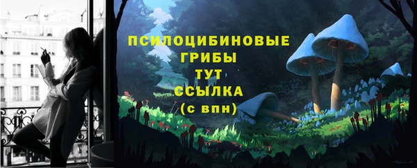 индика Арсеньев
