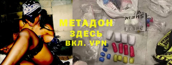 индика Арсеньев