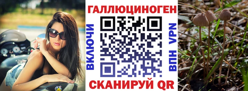 где купить наркоту гидра ссылки Псилоцибиновые грибы Psilocybine cubensis Кущёвская